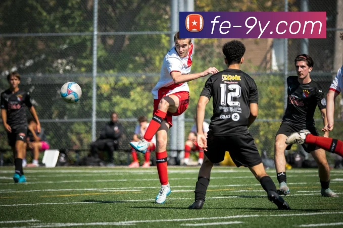 九游官网服务体系